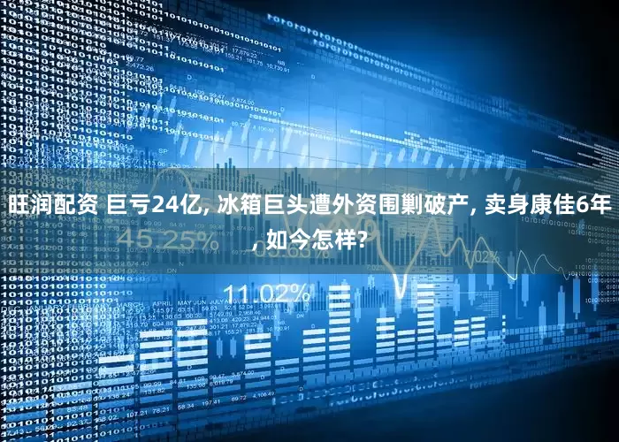 旺润配资 巨亏24亿, 冰箱巨头遭外资围剿破产, 卖身康佳6年, 如今怎样?