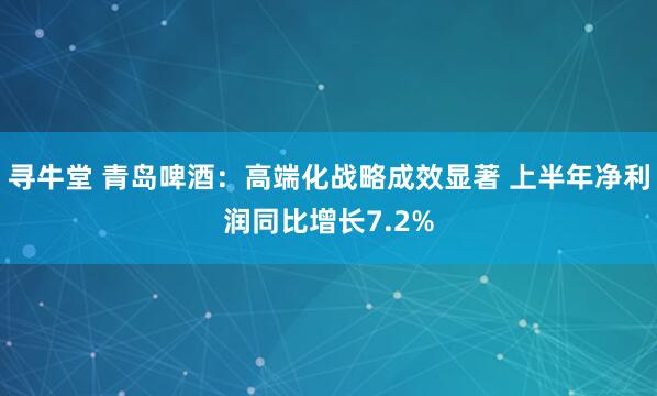寻牛堂 青岛啤酒：高端化战略成效显著 上半年净利润同比增长7.2%